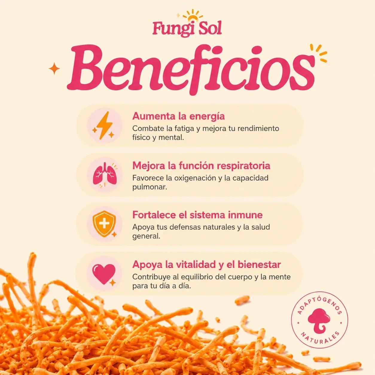 Cordyceps Militaris