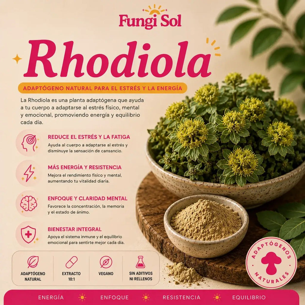 RHODIOLA ROSEA